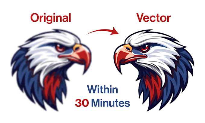 Gig Preview - Do vector tracing, convert to vector or vectorize image