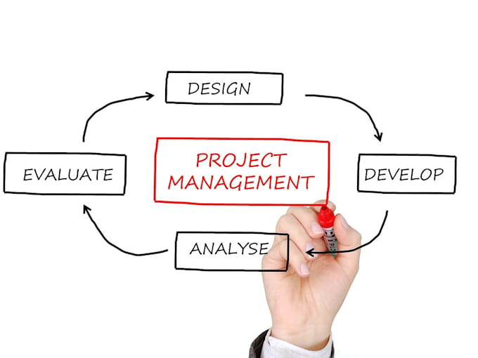 Gig Preview - Manage your projects as a certificated project manager