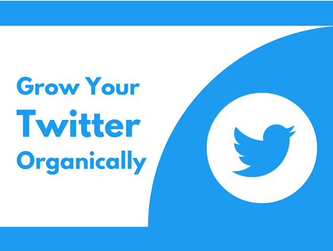 Gig Preview - Manage and organically grow your twitter account