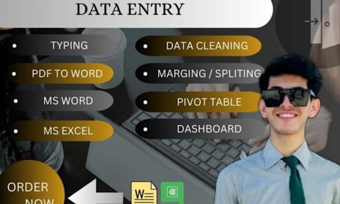 Gig Preview - Provide accurate and efficient data entry service