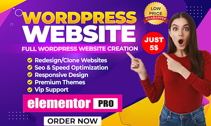 Gig Preview - Build redesign copy clone responsive wordpress website template by elementor pro