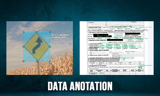 Bestseller - provide expert data annotation, image labeling, bounding box