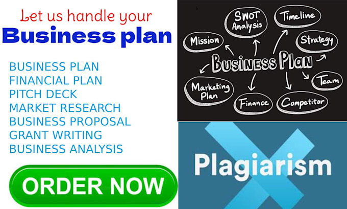 Bestseller - write a fundraising business plan, grant writing, startups, business plan writer