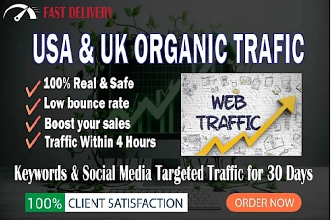 Gig Preview - Increase organic website on traffic website promotion