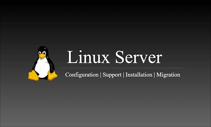 Gig Preview - Configure and install your linux server