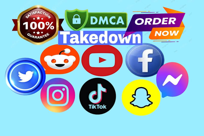 Gig Preview - Send dmca take down face book, linked inn, insta gram, tik tok, reddit, twitter