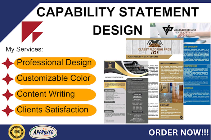 Gig Preview - Do federal government capability statement, business capabiity statement