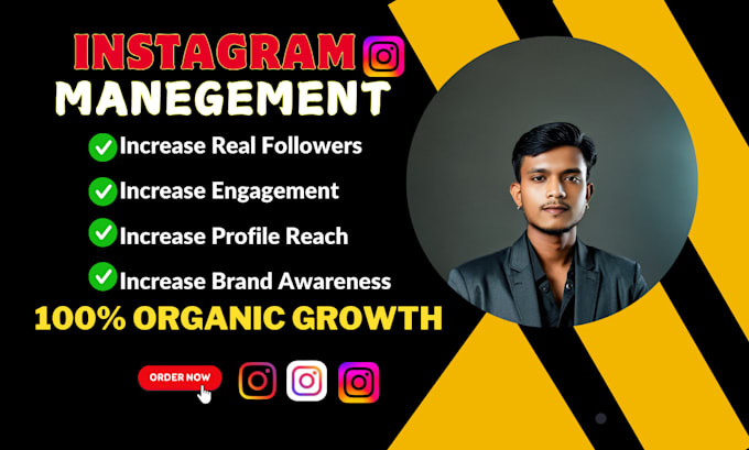 Gig Preview - Perfectly manage your instagram manager and facebook accounts organic growth