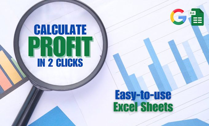 Gig Preview - Create a customized income sheet in excel for you