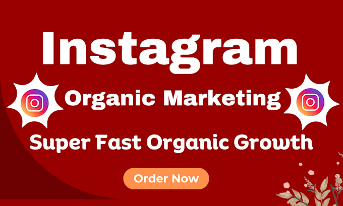 Gig Preview - Do instagram increase followers with organic instagram marketing