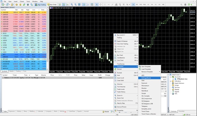 Gig Preview - Do forex eas bot, expert advisor and indicators for mt4, mt5 strategy