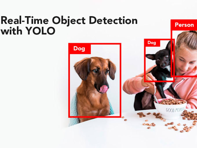 Bestseller - provide data annotation, object detection, and tracking with yolo