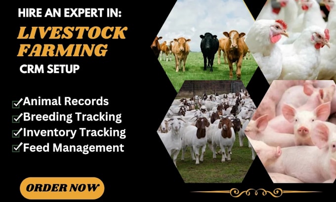 Gig Preview - Setup livestock CRM cattlemax livestocked ranchmanager agriweb webwatch CRM