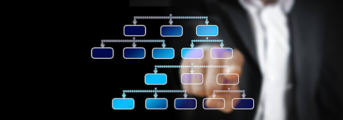 Gig Preview - Create a professional customizable organization chart