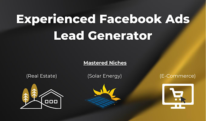 Gig Preview - Be your facebook ads media buyer for your contractors