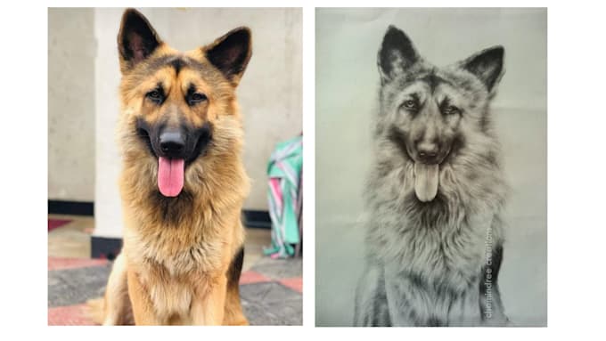 Gig Preview - Do realistic portrait drawings of your pet