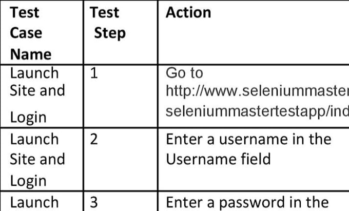 Gig Preview - Perform manual and automated software testing