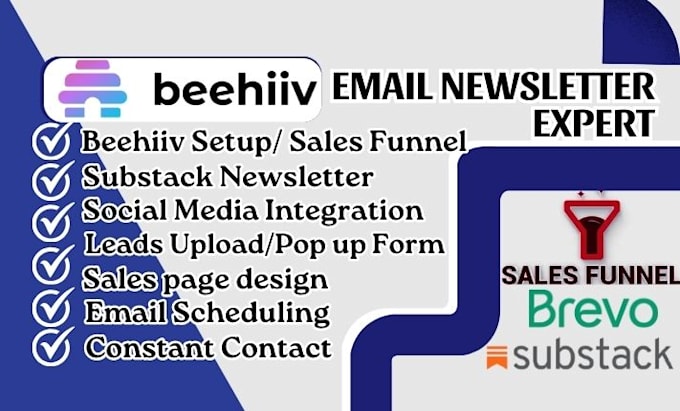 Bestseller - do beehiiv setup, beehive, email templates, landing pages, substack newsletter