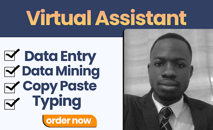 Gig Preview - Be your virtual assistant for data entry, data mining