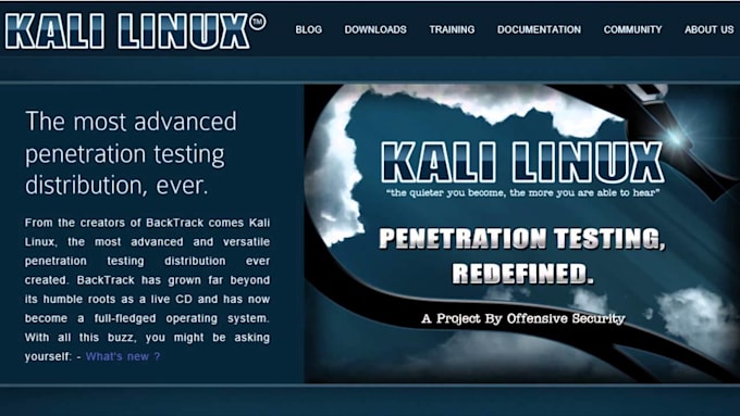 Gig Preview - Provide expert penetration testing and manual kali linux services