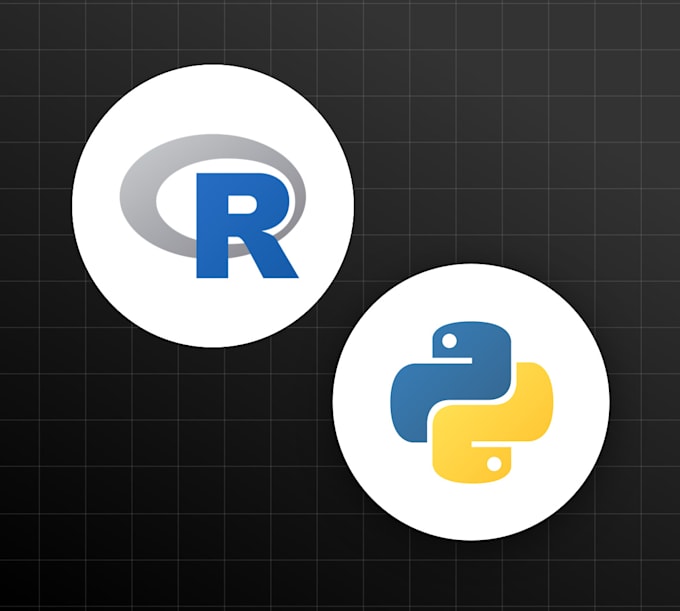 Gig Preview - Offer professional python  and r programming for data science