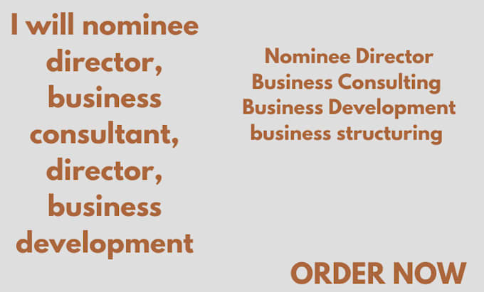 Gig Preview - Nominee director, business consultant, director, business development