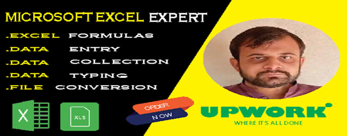 Bestseller - do excel spreadsheet ,excel entry,formulas