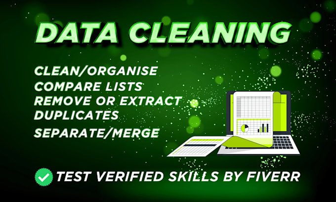 Gig Preview - Do excel data cleaning, formatting, formulas, data entry