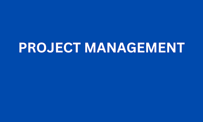 Gig Preview - Be your project management expert