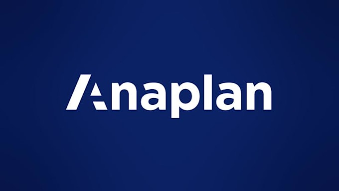 Gig Preview - Streamline your operations with tailored anaplan models