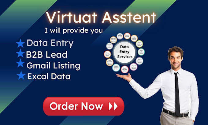 Gig Preview - Be your professional virtual assistant for data entry