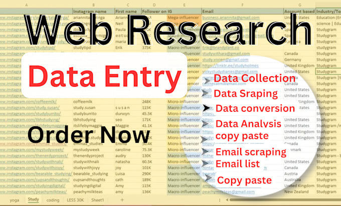 Gig Preview - Do data entry, web research, copy paste, data collection and excel data entry