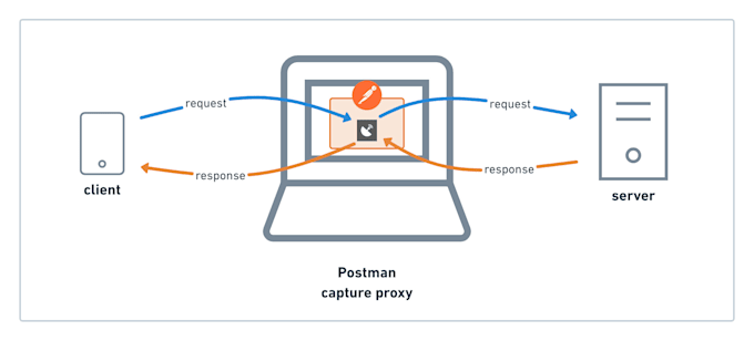 Gig Preview - Reverse engineer websites and apis to develop custom bots