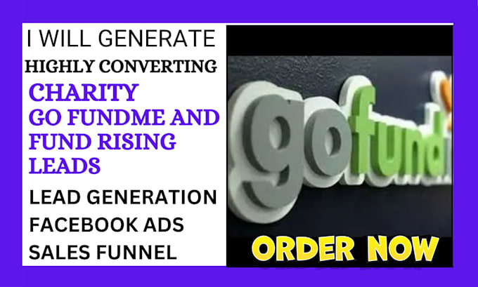 Gig Preview - Generate highly converting charity and go fund me via ads campaign