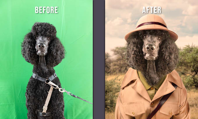 Gig Preview - Professionally edit, retouch and colour grade your photos