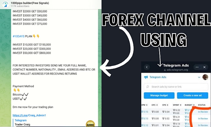 Gig Preview - Do telegram promotion, promote telegram forex channel to attract 900k audience