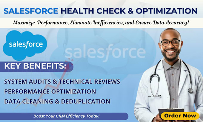 Gig Preview - Salesforce health check, optimization and data cleaning