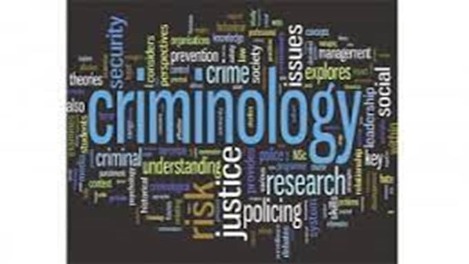 Gig Preview - Research on criminology, sociology, ethics, criminal justice and psychology