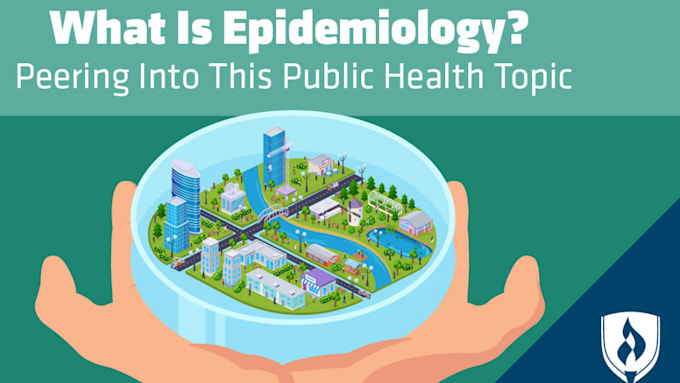 Gig Preview - Deliver quality epidemiology calculations, and public health and data analysis