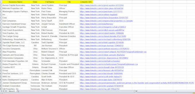 Gig Preview - Do data entry, copy past, and web research