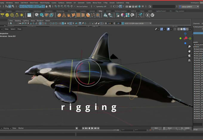 Gig Preview - Rig realistic 3d animals and aquatic creatures for games, film and animation