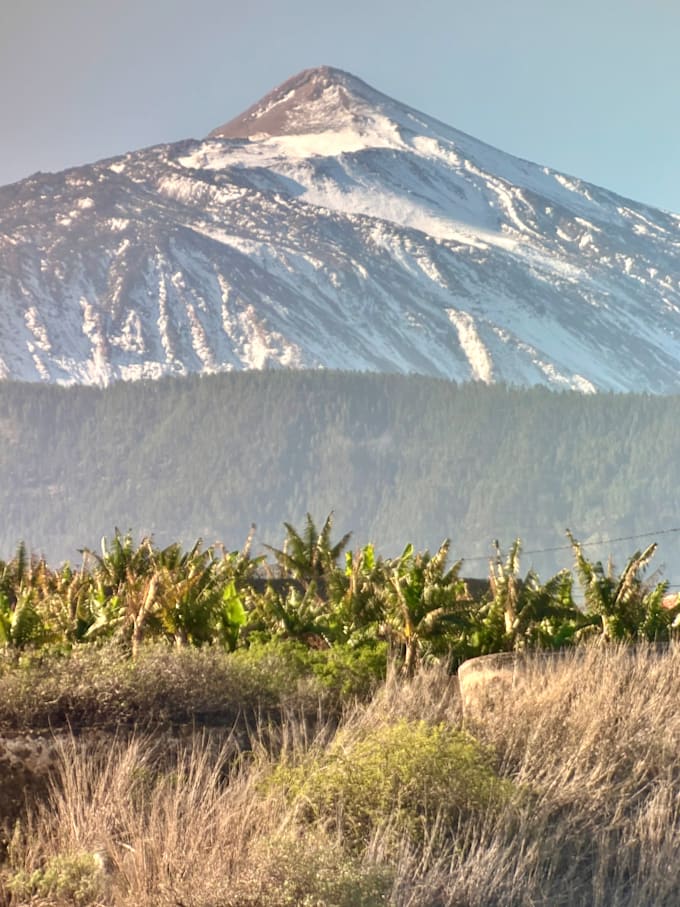 Bestseller - nature photoghrapher in tenerife, sunsets, sunrises and landscapes