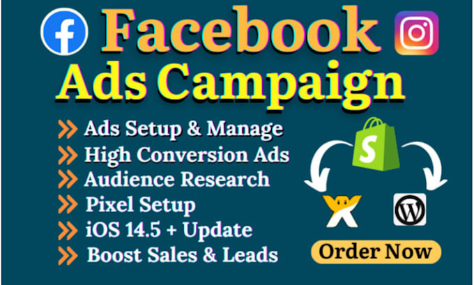 Gig Preview - Set up and manage your facebook and instagram ad campaigns