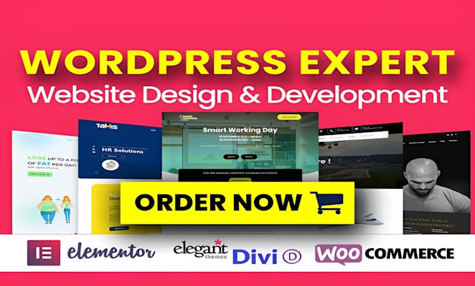 Gig Preview - Build, design, redesign, update, copy, clone, edit  customize wordpress website