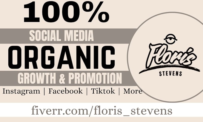 Gig Preview - Fast organic instagram facebook tiktok growth followers social media management