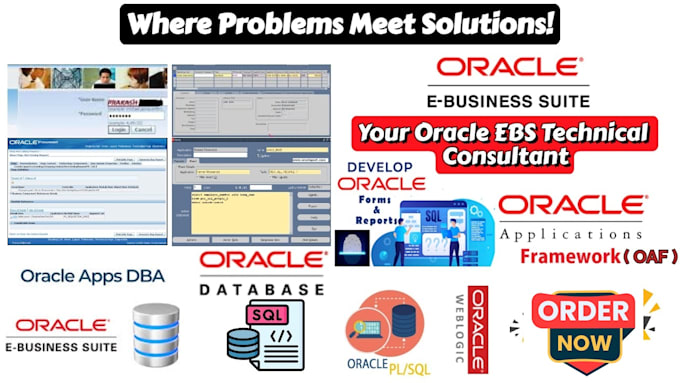 Gig Preview - Be your technical expert for oracle e business suite and oracle forms reports