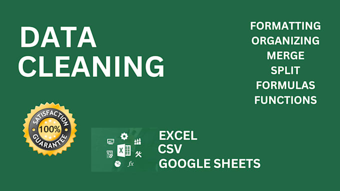 Gig Preview - Clean, format, merge, split excel data