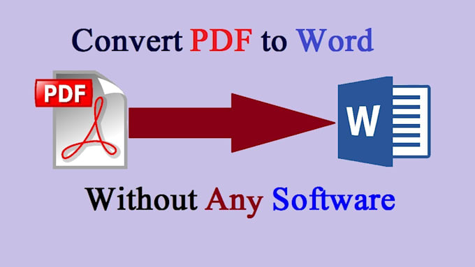 Gig Preview - Pdf to exel word converting