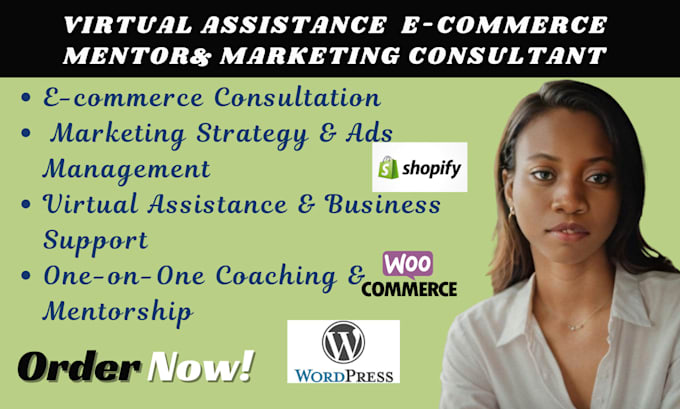 Gig Preview - Be your virtual assistant ecommerce mentor coach marketing consultant