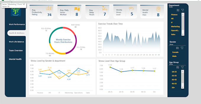 Gig Preview - Build a dynamic dashboards on excel spreadsheets and google sheets